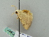  (Heterophleps AH01Mg - BC ZSM Lep 52847)  @12 [ ] CreativeCommons - Attribution Non-Commercial Share-Alike (2011) Axel Hausmann/Bavarian State Collection of Zoology (ZSM) SNSB, Zoologische Staatssammlung Muenchen