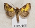  ( - BC ZSM Lep 55526)  @14 [ ] CreativeCommons - Attribution Non-Commercial Share-Alike (2011) Axel Hausmann/Bavarian State Collection of Zoology (ZSM) SNSB, Zoologische Staatssammlung Muenchen