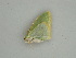  ( - BC ZSM Lep 56943)  @12 [ ] CreativeCommons - Attribution Non-Commercial Share-Alike (2011) Axel Hausmann/Bavarian State Collection of Zoology (ZSM) SNSB, Zoologische Staatssammlung Muenchen