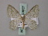  ( - BC ZSM Lep 59807)  @13 [ ] CreativeCommons - Attribution Non-Commercial Share-Alike (2011) Axel Hausmann/Bavarian State Collection of Zoology (ZSM) SNSB, Zoologische Staatssammlung Muenchen