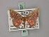  (Chrysocraspeda conspicularia - BC ZSM Lep 59927)  @11 [ ] CreativeCommons - Attribution Non-Commercial Share-Alike (2011) Axel Hausmann/Bavarian State Collection of Zoology (ZSM) SNSB, Zoologische Staatssammlung Muenchen