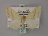  ( - BC ZSM Lep 60538)  @11 [ ] CreativeCommons - Attribution Non-Commercial Share-Alike (2011) Axel Hausmann/Bavarian State Collection of Zoology (ZSM) SNSB, Zoologische Staatssammlung Muenchen