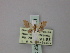  (Idaea percurrens - BC ZSM Lep 60644)  @12 [ ] CreativeCommons - Attribution Non-Commercial Share-Alike (2011) Axel Hausmann/Bavarian State Collection of Zoology (ZSM) SNSB, Zoologische Staatssammlung Muenchen