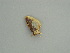  ( - BC ZSM Lep 60984)  @12 [ ] CreativeCommons - Attribution Non-Commercial Share-Alike (2011) Axel Hausmann/Bavarian State Collection of Zoology (ZSM) SNSB, Zoologische Staatssammlung Muenchen