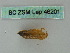  ( - BC ZSM Lep 46201)  @12 [ ] CreativeCommons - Attribution Non-Commercial Share-Alike (2011) Axel Hausmann/Bavarian State Collection of Zoology (ZSM) SNSB, Zoologische Staatssammlung Muenchen