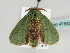  ( - BC ZSM Lep 47832)  @13 [ ] CreativeCommons - Attribution Non-Commercial Share-Alike (2011) Axel Hausmann/Bavarian State Collection of Zoology (ZSM) SNSB, Zoologische Staatssammlung Muenchen