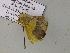  ( - BC ZSM Lep 55692)  @12 [ ] CreativeCommons - Attribution Non-Commercial Share-Alike (2011) Axel Hausmann/Bavarian State Collection of Zoology (ZSM) SNSB, Zoologische Staatssammlung Muenchen