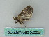  ( - BC ZSM Lep 53589)  @12 [ ] CreativeCommons - Attribution Non-Commercial Share-Alike (2011) Axel Hausmann/Bavarian State Collection of Zoology (ZSM) SNSB, Zoologische Staatssammlung Muenchen