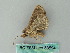  ( - BC ZSM Lep 53594)  @13 [ ] CreativeCommons - Attribution Non-Commercial Share-Alike (2011) Axel Hausmann/Bavarian State Collection of Zoology (ZSM) SNSB, Zoologische Staatssammlung Muenchen