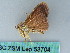  ( - BC ZSM Lep 53704)  @12 [ ] CreativeCommons - Attribution Non-Commercial Share-Alike (2011) Axel Hausmann/Bavarian State Collection of Zoology (ZSM) SNSB, Zoologische Staatssammlung Muenchen
