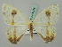  (Macrocilix - BC ZSM Lep 44795)  @14 [ ] CreativeCommons - Attribution Non-Commercial Share-Alike (2011) Axel Hausmann/Bavarian State Collection of Zoology (ZSM) SNSB, Zoologische Staatssammlung Muenchen