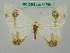  ( - BC ZSM Lep 44796)  @12 [ ] CreativeCommons - Attribution Non-Commercial Share-Alike (2011) Axel Hausmann/Bavarian State Collection of Zoology (ZSM) SNSB, Zoologische Staatssammlung Muenchen