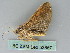  ( - BC ZSM Lep 53857)  @13 [ ] CreativeCommons - Attribution Non-Commercial Share-Alike (2011) Axel Hausmann/Bavarian State Collection of Zoology (ZSM) SNSB, Zoologische Staatssammlung Muenchen