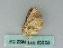  ( - BC ZSM Lep 53858)  @12 [ ] CreativeCommons - Attribution Non-Commercial Share-Alike (2011) Axel Hausmann/Bavarian State Collection of Zoology (ZSM) SNSB, Zoologische Staatssammlung Muenchen