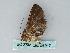  ( - BC ZSM Lep 53917)  @13 [ ] CreativeCommons - Attribution Non-Commercial Share-Alike (2011) Axel Hausmann/Bavarian State Collection of Zoology (ZSM) SNSB, Zoologische Staatssammlung Muenchen