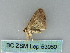  ( - BC ZSM Lep 53950)  @12 [ ] CreativeCommons - Attribution Non-Commercial Share-Alike (2011) Axel Hausmann/Bavarian State Collection of Zoology (ZSM) SNSB, Zoologische Staatssammlung Muenchen