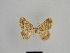  ( - SE MNC Lep 01019)  @13 [ ] Copyright (2011) Sven Erlacher Museum of Natural History Chemnitz