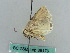  ( - BC ZSM Lep 38176)  @11 [ ] CreativeCommons - Attribution Non-Commercial Share-Alike (2011) Axel Hausmann/Bavarian State Collection of Zoology (ZSM) SNSB, Zoologische Staatssammlung Muenchen