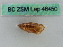  ( - BC ZSM Lep 46450)  @11 [ ] CreativeCommons - Attribution Non-Commercial Share-Alike (2011) Axel Hausmann/Bavarian State Collection of Zoology (ZSM) SNSB, Zoologische Staatssammlung Muenchen