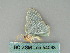  ( - BC ZSM Lep 54033)  @12 [ ] CreativeCommons - Attribution Non-Commercial Share-Alike (2011) Axel Hausmann/Bavarian State Collection of Zoology (ZSM) SNSB, Zoologische Staatssammlung Muenchen