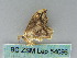  ( - BC ZSM Lep 54096)  @13 [ ] CreativeCommons - Attribution Non-Commercial Share-Alike (2011) Axel Hausmann/Bavarian State Collection of Zoology (ZSM) SNSB, Zoologische Staatssammlung Muenchen