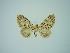  ( - BC ZSM Lep 75068)  @13 [ ] CreativeCommons - Attribution Non-Commercial Share-Alike (2013) Axel Hausmann/Bavarian State Collection of Zoology (ZSM) SNSB, Zoologische Staatssammlung Muenchen