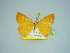  (Idaea numidaria - BC ZSM Lep 75084)  @11 [ ] CreativeCommons - Attribution Non-Commercial Share-Alike (2013) Axel Hausmann/Bavarian State Collection of Zoology (ZSM) SNSB, Zoologische Staatssammlung Muenchen