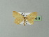 ( - BC ZSM Lep 20313)  @13 [ ] CreativeCommons - Attribution Non-Commercial Share-Alike (2012) Axel Hausmann/Bavarian State Collection of Zoology (ZSM) SNSB, Zoologische Staatssammlung Muenchen