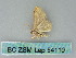  ( - BC ZSM Lep 54110)  @12 [ ] CreativeCommons - Attribution Non-Commercial Share-Alike (2012) Axel Hausmann/Bavarian State Collection of Zoology (ZSM) SNSB, Zoologische Staatssammlung Muenchen