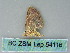  ( - BC ZSM Lep 54116)  @12 [ ] CreativeCommons - Attribution Non-Commercial Share-Alike (2012) Axel Hausmann/Bavarian State Collection of Zoology (ZSM) SNSB, Zoologische Staatssammlung Muenchen