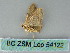  ( - BC ZSM Lep 54122)  @12 [ ] CreativeCommons - Attribution Non-Commercial Share-Alike (2012) Axel Hausmann/Bavarian State Collection of Zoology (ZSM) SNSB, Zoologische Staatssammlung Muenchen