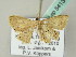  ( - BC ZSM Lep 54134)  @12 [ ] CreativeCommons - Attribution Non-Commercial Share-Alike (2012) Axel Hausmann/Bavarian State Collection of Zoology (ZSM) SNSB, Zoologische Staatssammlung Muenchen
