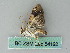  ( - BC ZSM Lep 54192)  @12 [ ] CreativeCommons - Attribution Non-Commercial Share-Alike (2012) Axel Hausmann/Bavarian State Collection of Zoology (ZSM) SNSB, Zoologische Staatssammlung Muenchen
