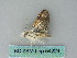  ( - BC ZSM Lep 54224)  @12 [ ] CreativeCommons - Attribution Non-Commercial Share-Alike (2012) Axel Hausmann/Bavarian State Collection of Zoology (ZSM) SNSB, Zoologische Staatssammlung Muenchen