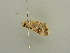  ( - BC ZSM Lep 55955)  @12 [ ] CreativeCommons - Attribution Non-Commercial Share-Alike (2012) Axel Hausmann/Bavarian State Collection of Zoology (ZSM) SNSB, Zoologische Staatssammlung Muenchen
