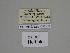  ( - SE MNC Lep 01170)  @11 [ ] Copyright (2012) Sven Erlacher Museum Naturkunde Chemnitz