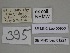  ( - SE MNC Lep 01221)  @11 [ ] Copyright (2012) Sven Erlacher Museum Naturkunde Chemnitz