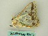  ( - BC ZSM Lep 63475)  @13 [ ] CreativeCommons - Attribution Non-Commercial Share-Alike (2012) Axel Hausmann/Bavarian State Collection of Zoology (ZSM) SNSB, Zoologische Staatssammlung Muenchen
