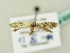  ( - BC ZSM Lep 63519)  @13 [ ] CreativeCommons - Attribution Non-Commercial Share-Alike (2012) Axel Hausmann/Bavarian State Collection of Zoology (ZSM) SNSB, Zoologische Staatssammlung Muenchen
