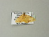  ( - BC ZSM Lep 64601)  @12 [ ] CreativeCommons - Attribution Non-Commercial Share-Alike (2012) Axel Hausmann/Bavarian State Collection of Zoology (ZSM) SNSB, Zoologische Staatssammlung Muenchen