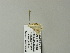  ( - BC ZSM Lep 64634)  @12 [ ] CreativeCommons - Attribution Non-Commercial Share-Alike (2012) Axel Hausmann/Bavarian State Collection of Zoology (ZSM) SNSB, Zoologische Staatssammlung Muenchen