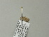  ( - BC ZSM Lep 64947)  @12 [ ] CreativeCommons - Attribution Non-Commercial Share-Alike (2012) Axel Hausmann/Bavarian State Collection of Zoology (ZSM) SNSB, Zoologische Staatssammlung Muenchen