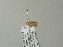  ( - BC ZSM Lep 64970)  @12 [ ] CreativeCommons - Attribution Non-Commercial Share-Alike (2012) Axel Hausmann/Bavarian State Collection of Zoology (ZSM) SNSB, Zoologische Staatssammlung Muenchen