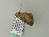  ( - BC ZSM Lep 64987)  @12 [ ] CreativeCommons - Attribution Non-Commercial Share-Alike (2012) Axel Hausmann/Bavarian State Collection of Zoology (ZSM) SNSB, Zoologische Staatssammlung Muenchen