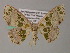  ( - BC ZSM Lep 54396)  @11 [ ] CreativeCommons - Attribution Non-Commercial Share-Alike (2012) Axel Hausmann/Bavarian State Collection of Zoology (ZSM) SNSB, Zoologische Staatssammlung Muenchen