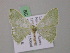  (Comostola AH01Vi - BC ZSM Lep 57352)  @11 [ ] CreativeCommons - Attribution Non-Commercial Share-Alike (2012) Axel Hausmann/Bavarian State Collection of Zoology (ZSM) SNSB, Zoologische Staatssammlung Muenchen