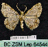  ( - BC ZSM Lep 64544)  @12 [ ] Copyright (2012) Axel Hausmann/Bavarian State Collection of Zoology (ZSM) SNSB, Zoologische Staatssammlung Muenchen