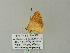 ( - BC ZSM Lep 62124)  @12 [ ] CreativeCommons - Attribution Non-Commercial Share-Alike (2012) Axel Hausmann/Bavarian State Collection of Zoology (ZSM) SNSB, Zoologische Staatssammlung Muenchen