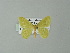  ( - BC ZSM Lep 62245)  @13 [ ] CreativeCommons - Attribution Non-Commercial Share-Alike (2012) Axel Hausmann/Bavarian State Collection of Zoology (ZSM) SNSB, Zoologische Staatssammlung Muenchen