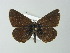  ( - BC ZSM Lep 62388)  @13 [ ] CreativeCommons - Attribution Non-Commercial Share-Alike (2012) Axel Hausmann/Bavarian State Collection of Zoology (ZSM) SNSB, Zoologische Staatssammlung Muenchen